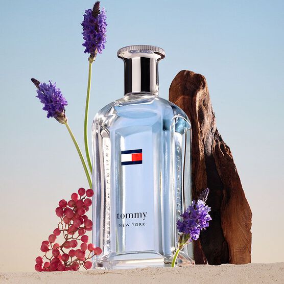 Perfume Tommy Hilfiger Tommy New York Masculino Eau de Toilette